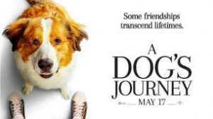 A Dog’s Journey (2019)