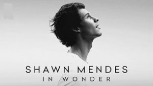 Shawn Mendes: In Wonder (2020)