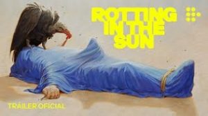 Rotting in the Sun (2023)